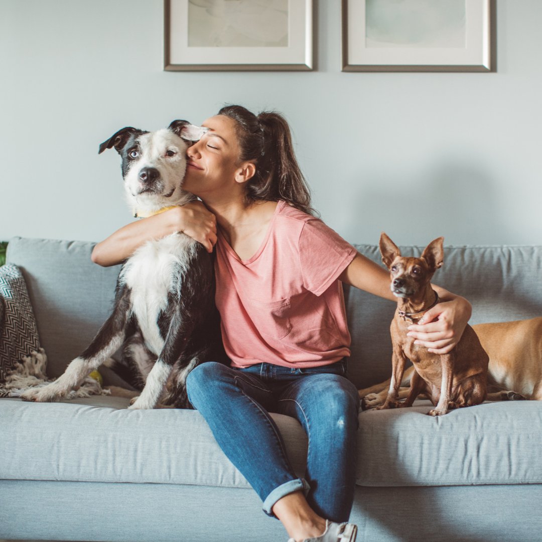 How does CBD Oil for Pets Work? - Thrive Apothecary